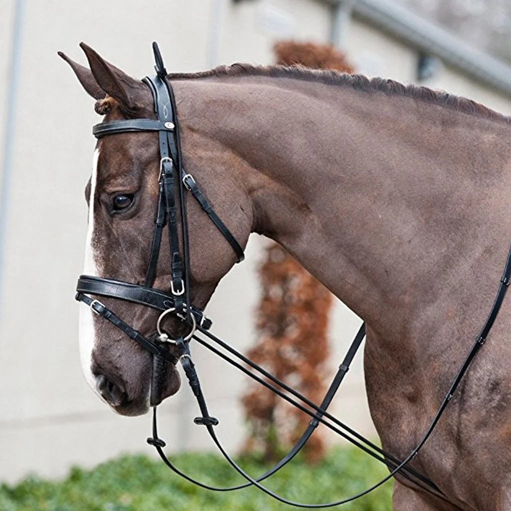 Horse Black Neck Stretcher Elastic Horse Rein Strap Rope Adjustable with Plastic Buckles Horse Equestrian Supplies 10ft