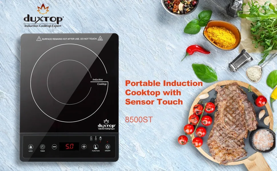 duxtop induction cooktop