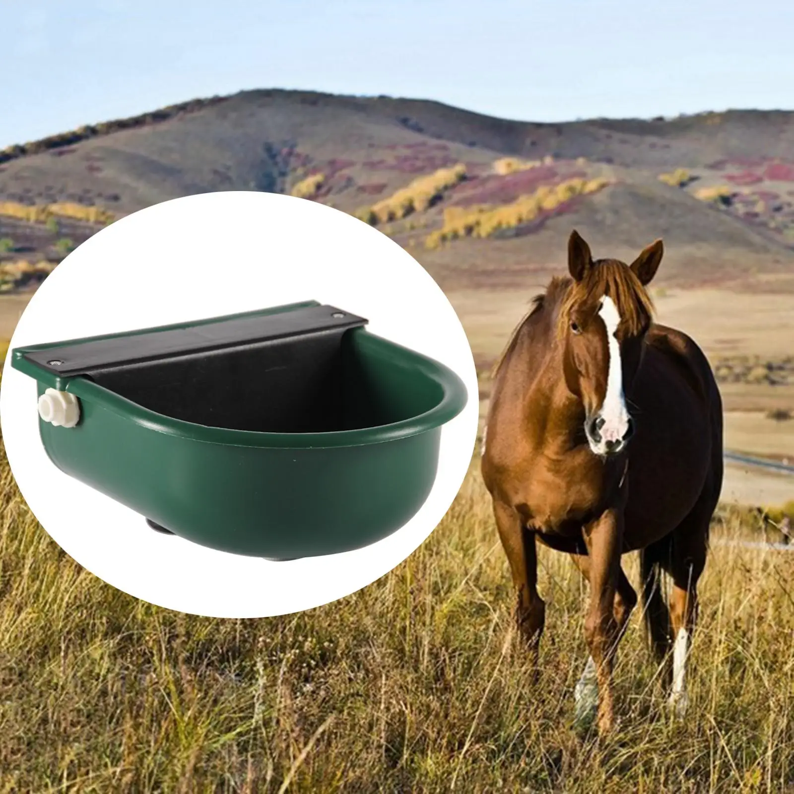 Automatic Water Trough Bowl for Cow Animal Livestock Waterer