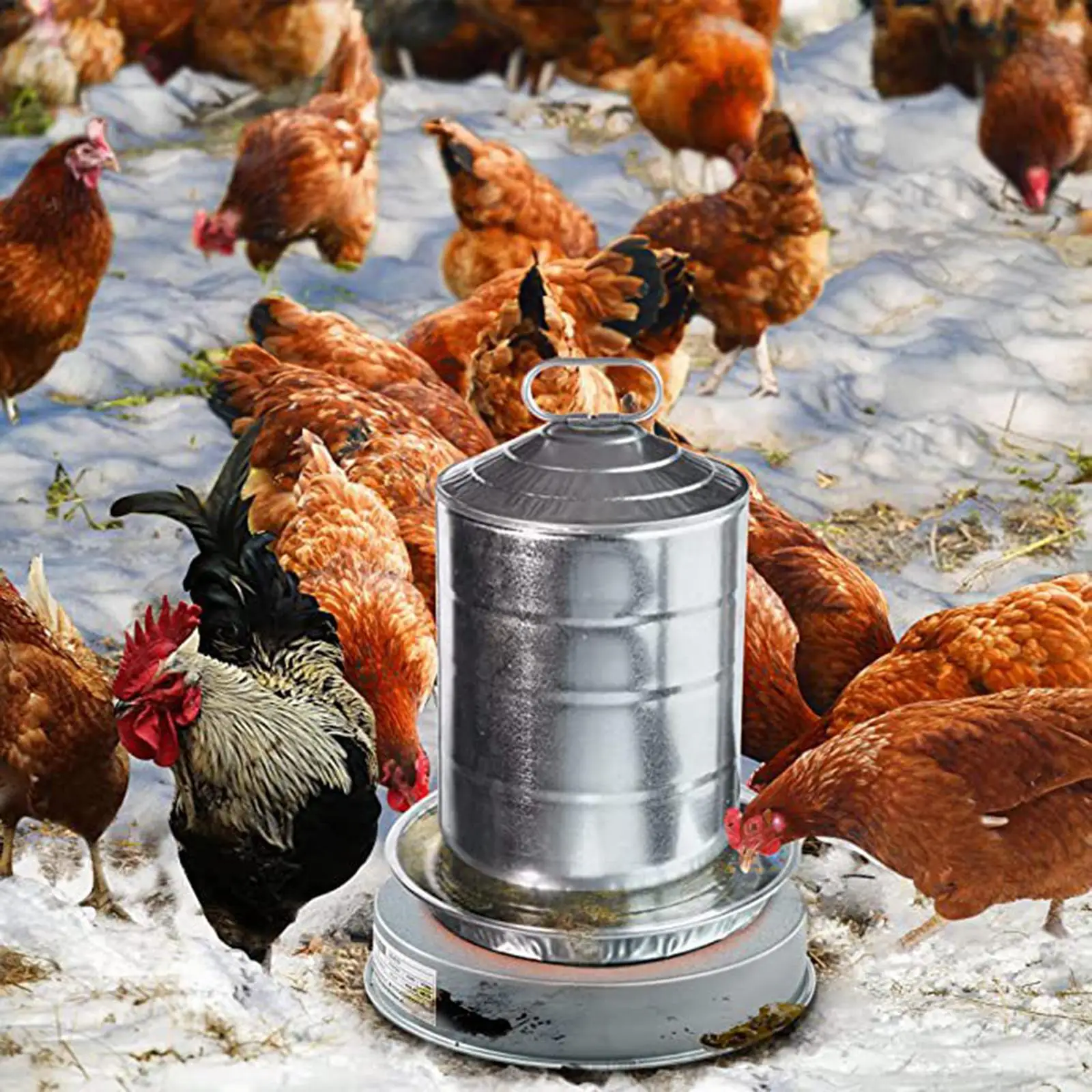 Poultry Waterer Drinker Heated Base Chicken Water Heater for Winter Sterilizer Heating Base Pet Water Heater